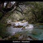 Routeburn River