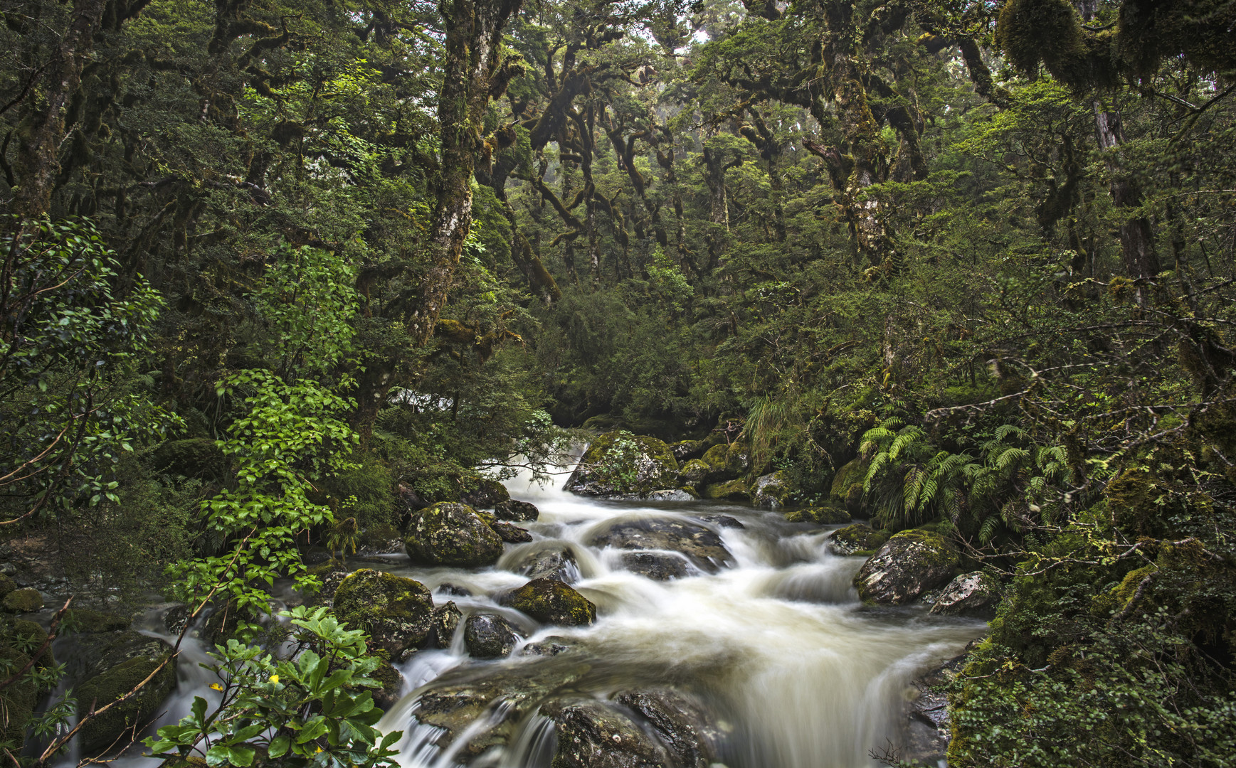 Routeburn Track