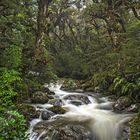 Routeburn Track