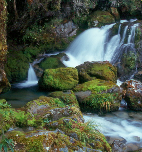 Routeburn Track