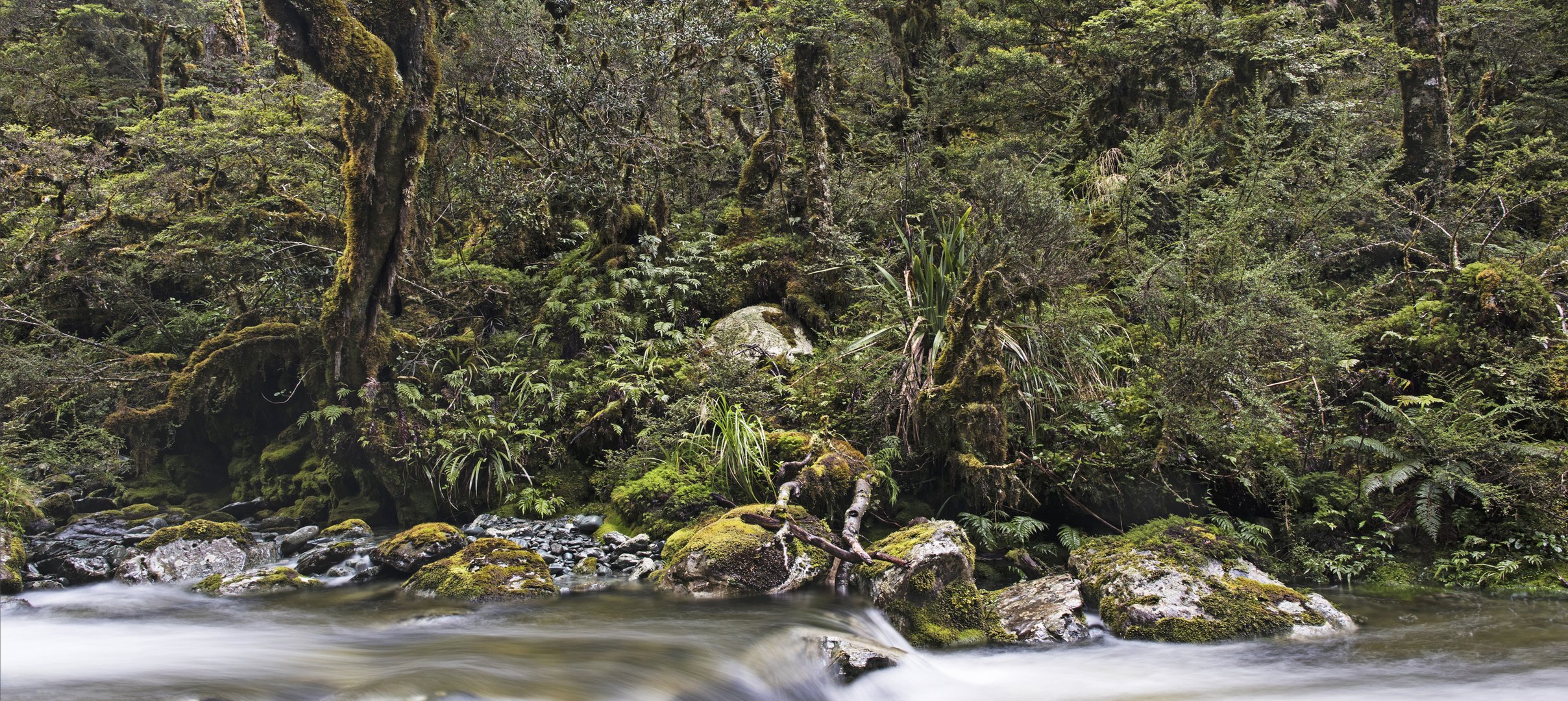 Routeburn Track    