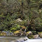 Routeburn Track    