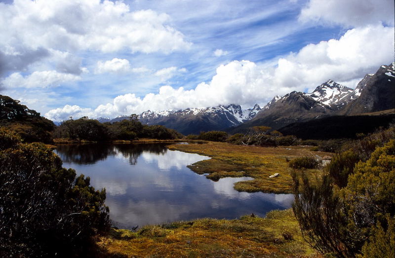 Routeburn-Track, Fjordland-NP