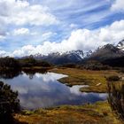 Routeburn-Track, Fjordland-NP