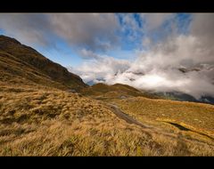 Routeburn Track - Harris Saddle