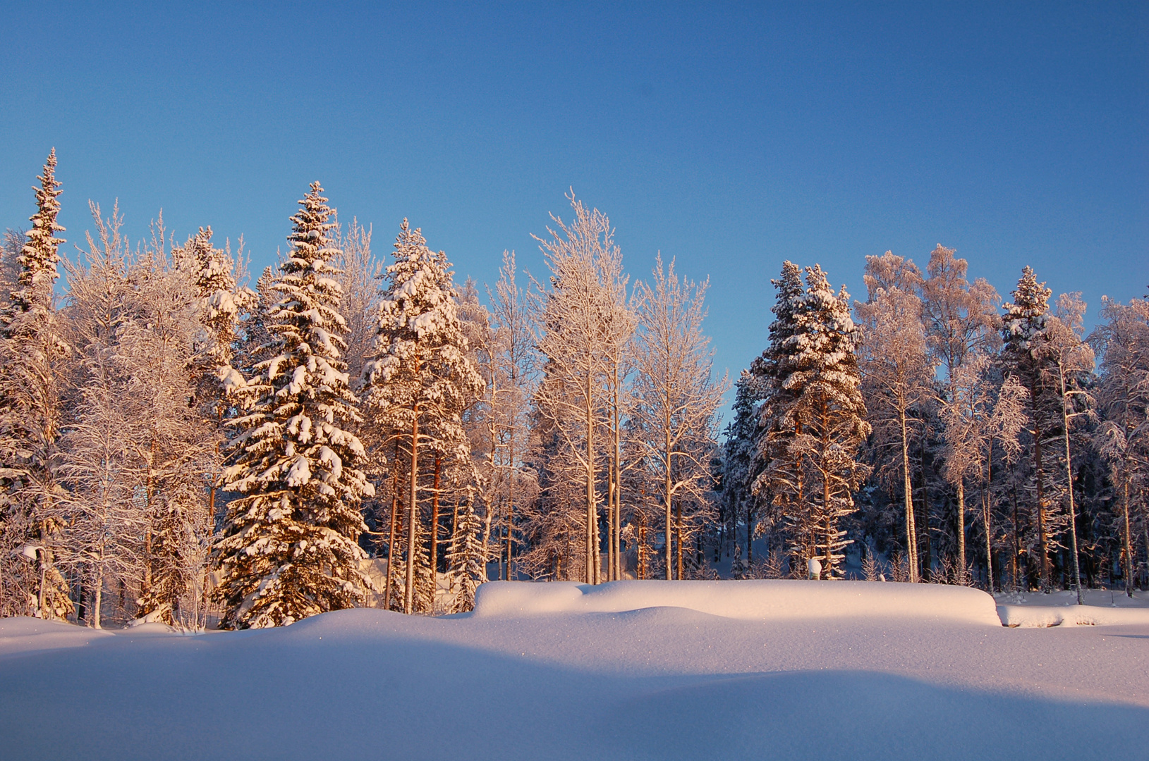 Rovaniemi