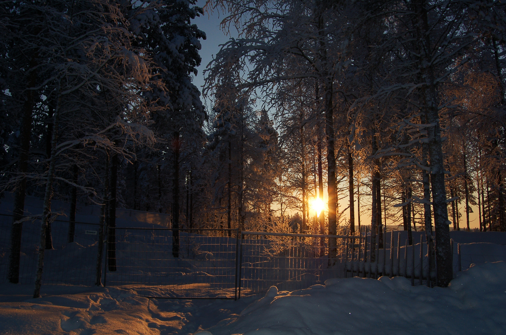 Rovaniemi nature