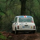 Rover Mini bei der ADAC Hessen Rallye Vogelsberg 2008