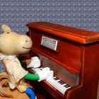 Rover spielt Klavier