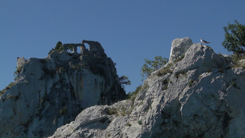 Rovine nella natura