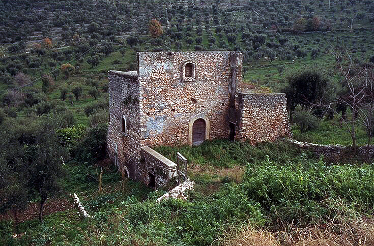 ROVINE TRA GLI ULIVI