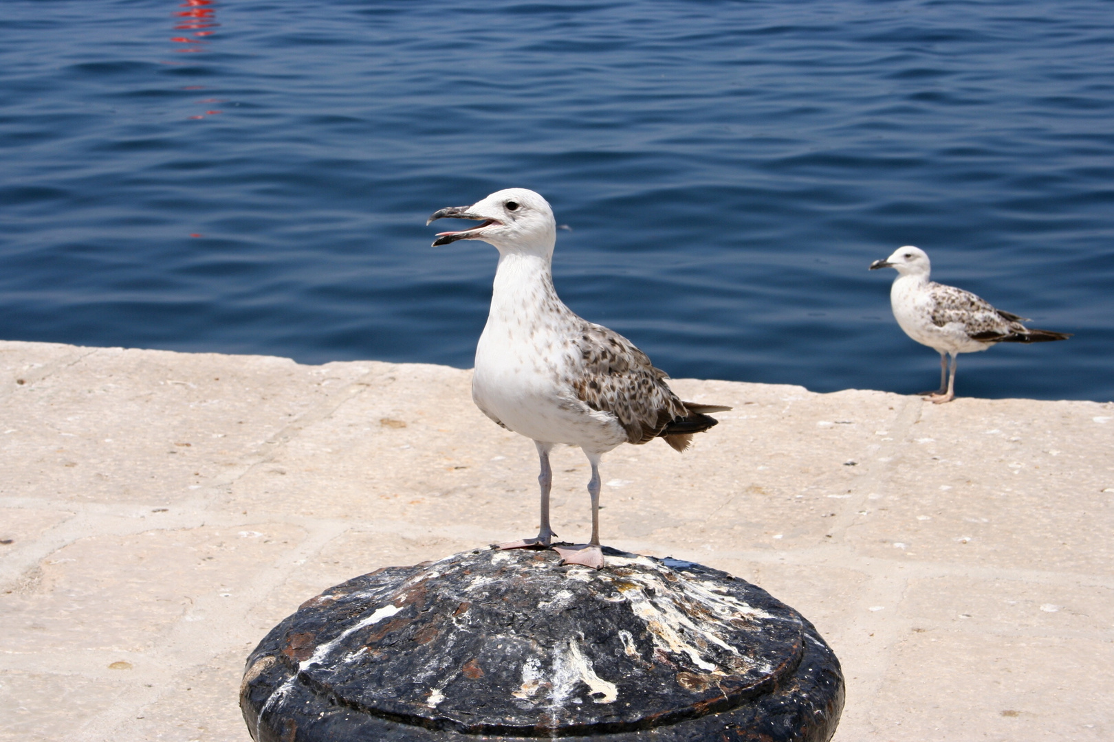 rovinj-005