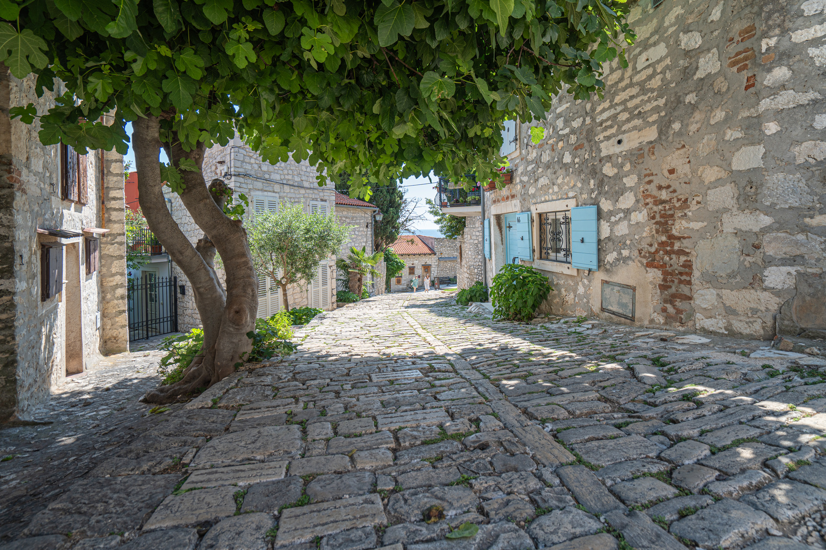 Rovinj