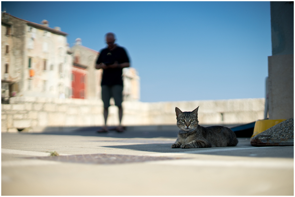 rovinj