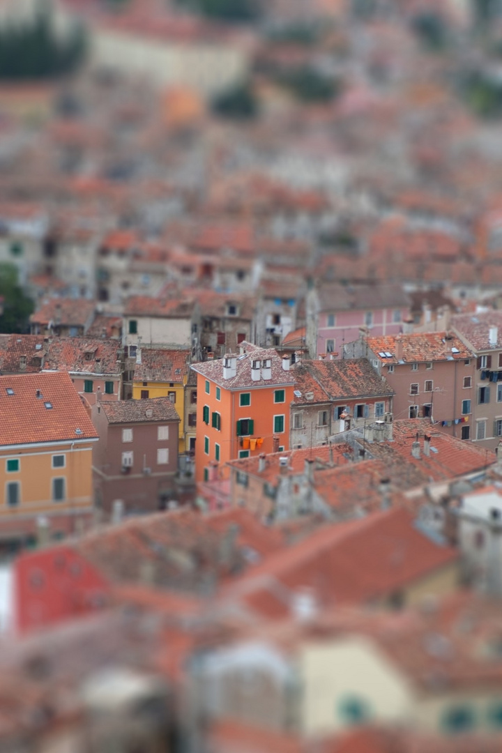 Rovinj