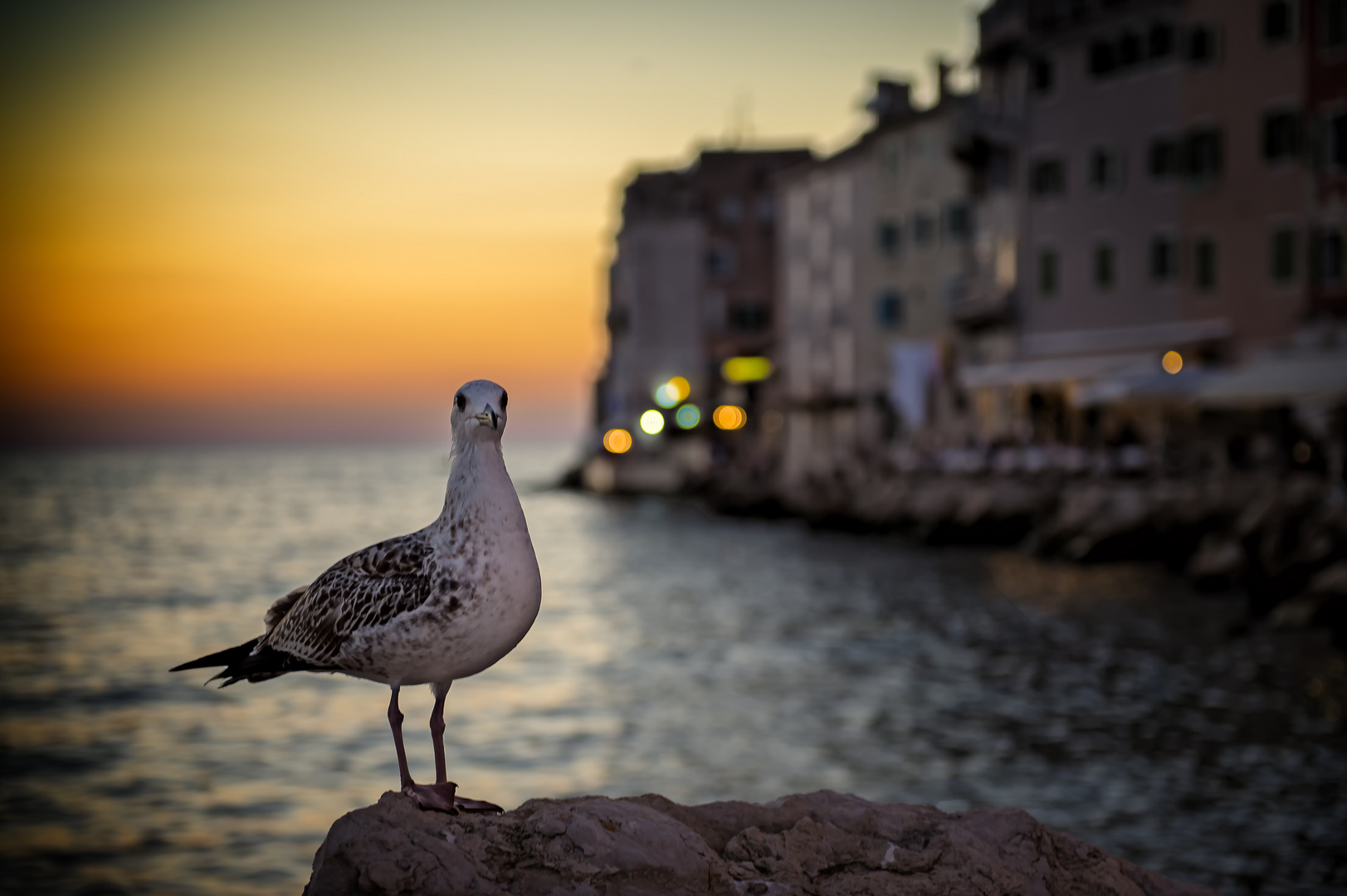 Rovinj Ausklang