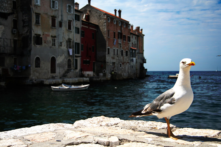 Rovinj