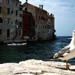 Rovinj