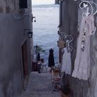 Rovinj