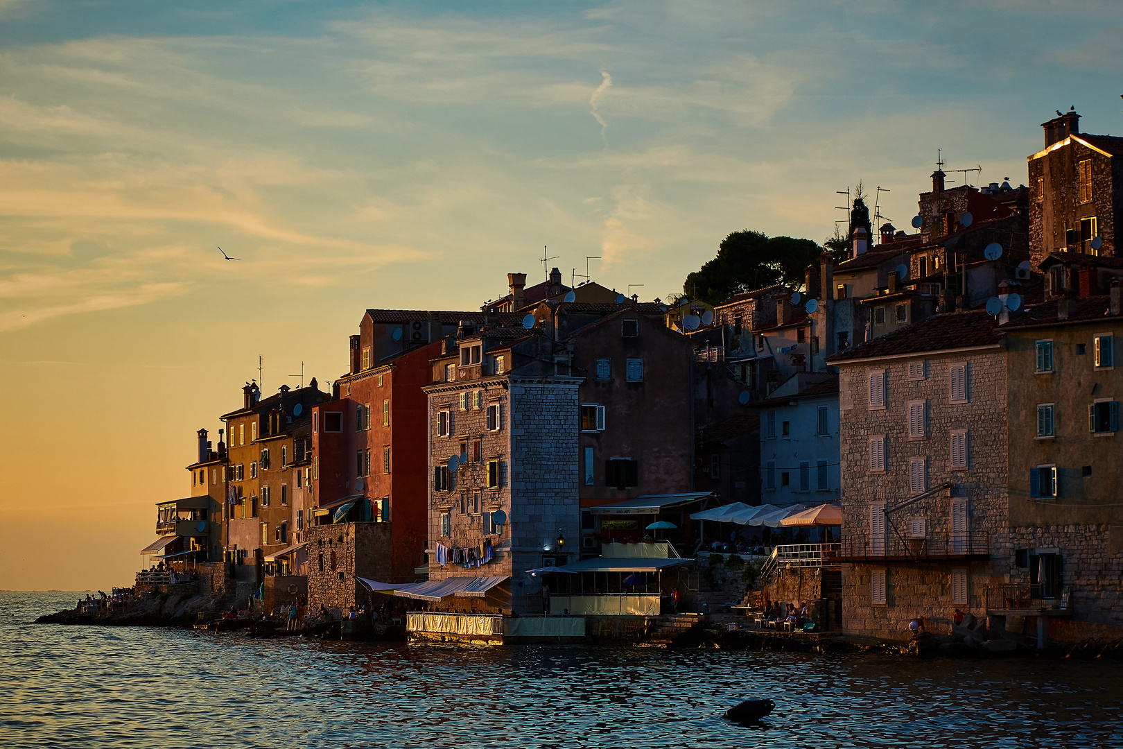 Rovinj im Abendlicht