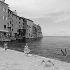 Rovinj IV