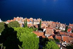 Rovinj vom Kirchturm aus