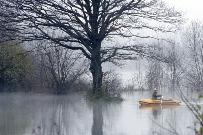 Row, row, row your boat ...