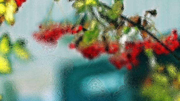 ... rowan branch under the ice