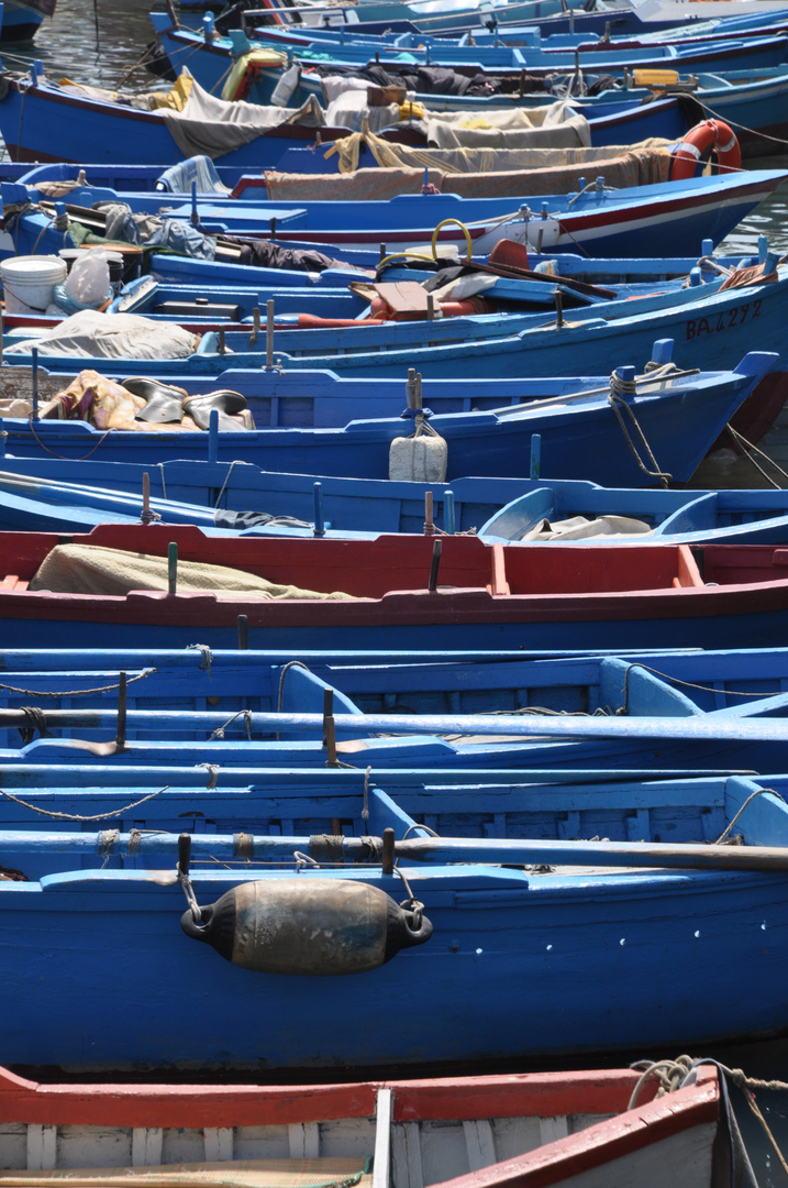 Rowboats, Bari 2015