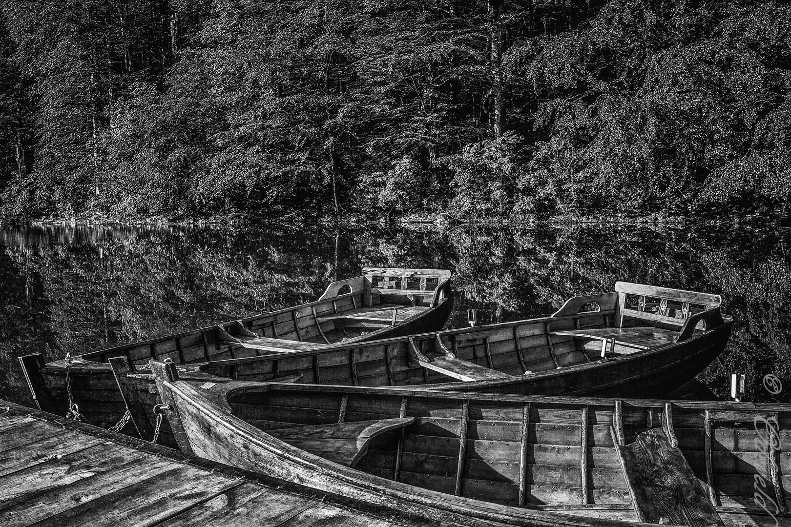 Rowboats on Lake Biograd (Biogradsko Jezero) in Montenegro.