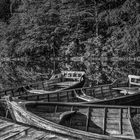 Rowboats on Lake Biograd (Biogradsko Jezero) in Montenegro.