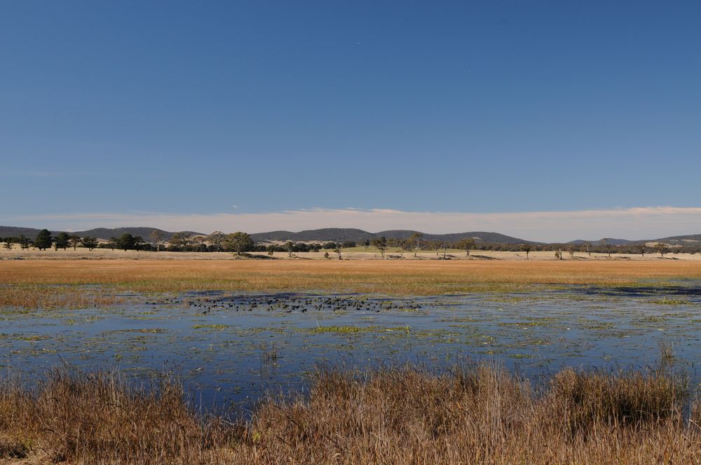 Rowes Lagoon