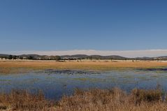 Rowes Lagoon