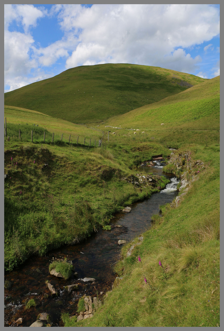 Rowhope Burn Cheviot Hills