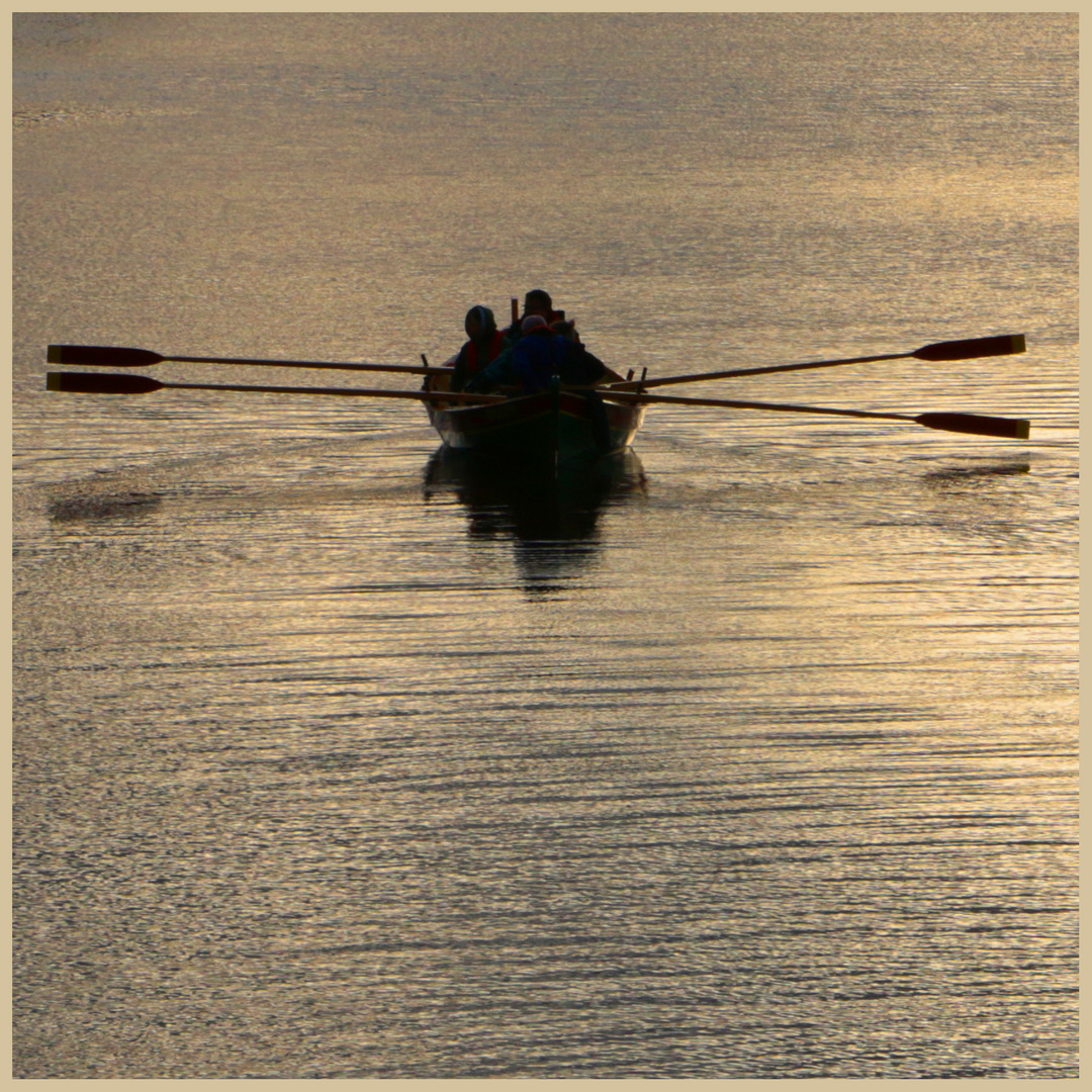 rowing at alnmouth