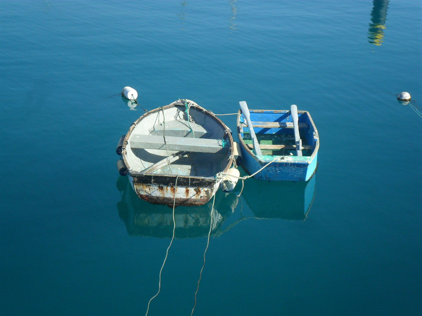 Rowing Boats