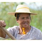 Rowing Lady at Lake Inle