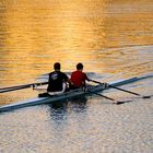 Rowing on Sunset