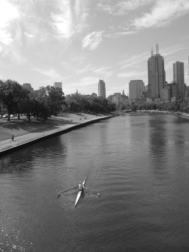 rowing on the yarra