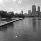 rowing on the yarra