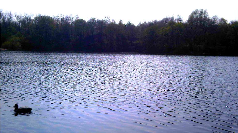 Rowley Lake