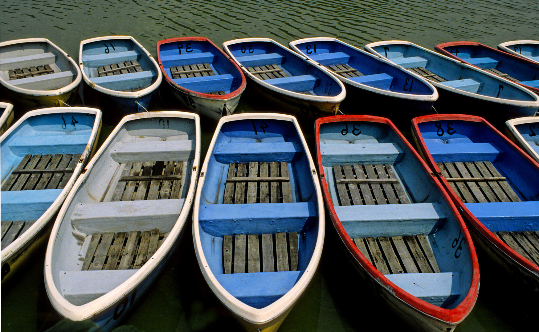 rows of boats