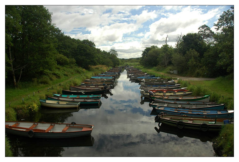 Rows of rowboats