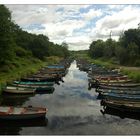 Rows of rowboats