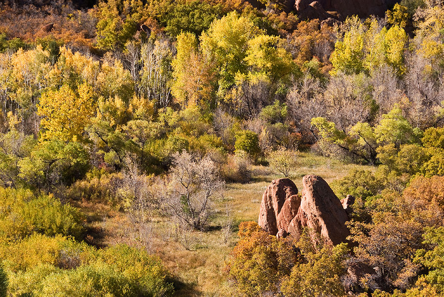 +++ Roxborough Indian Summer +++