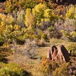 +++ Roxborough Indian Summer +++