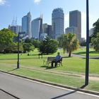 Royal botanic garden