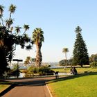Royal Botanic Garden in Sydney