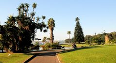 Royal Botanic Garden in Sydney