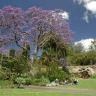 Royal Botanic Garden / Sydney